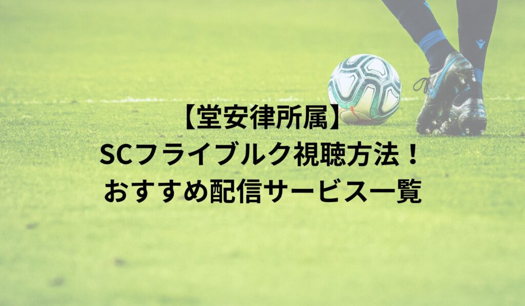 【堂安律所属】SCフライブルク視聴方法！おすすめ配信サービス一覧